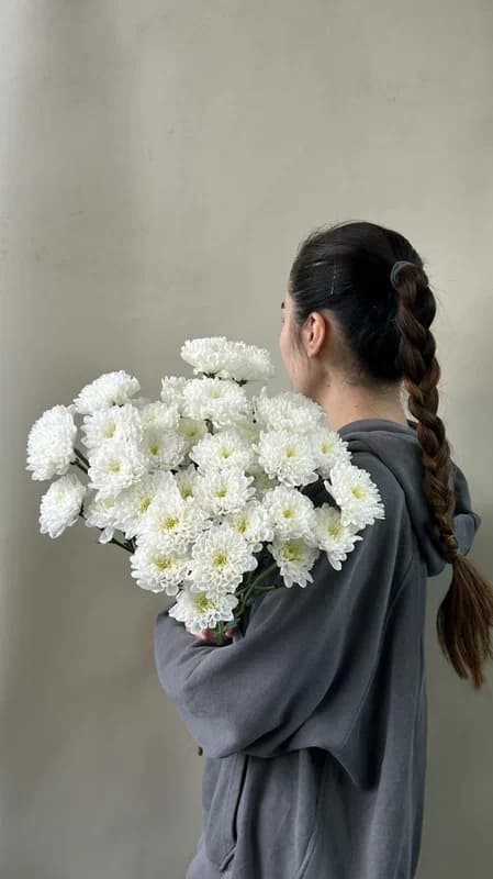 Хризантемы Алтай